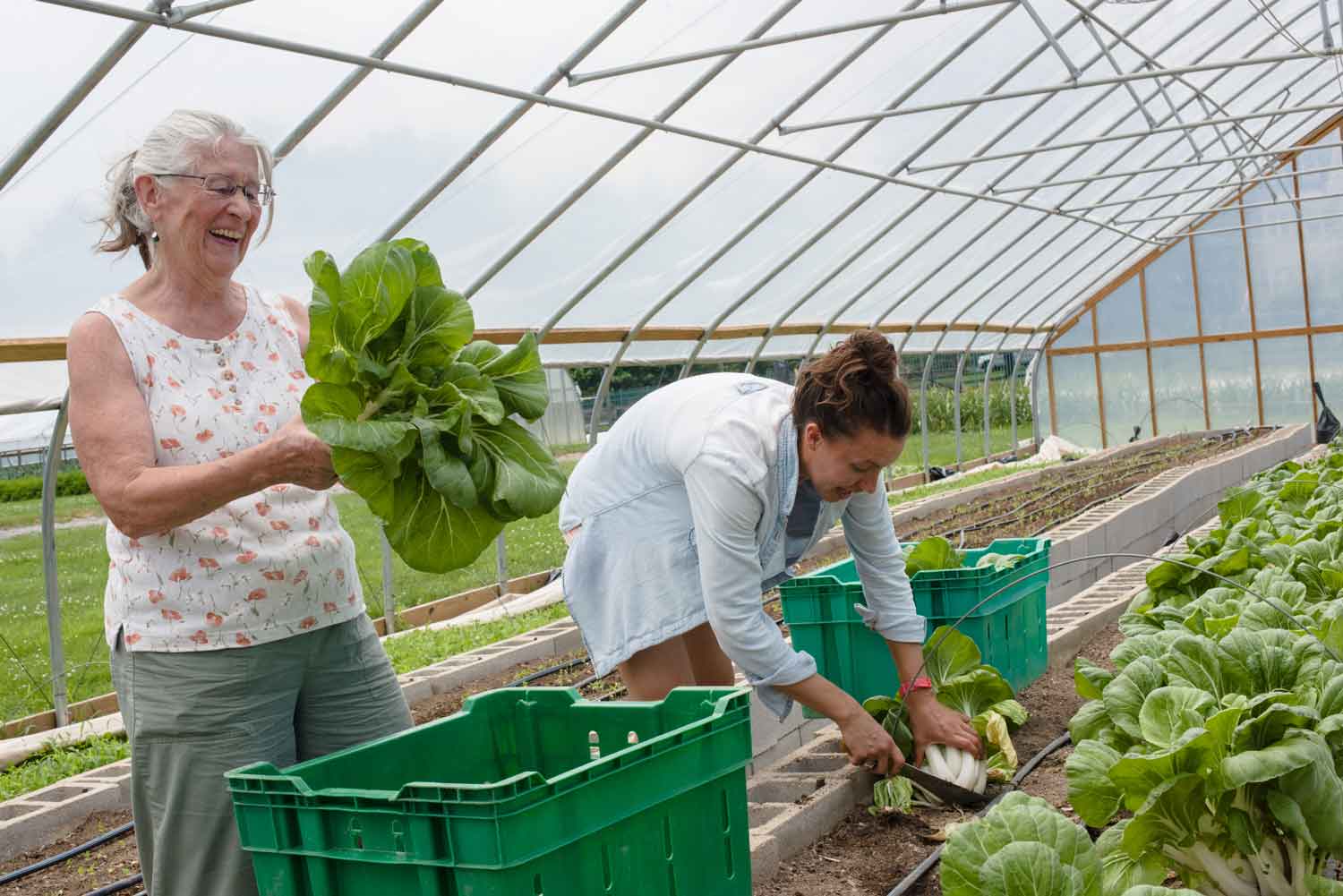 Caring for Earth, Caring for You